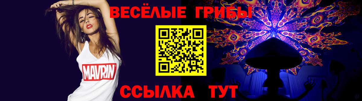Галлюциногенные грибы GOLDEN TEACHER  купить наркотики сайты  Псилоцибиновые грибы мухоморы  Канаш  Вход с VPN 